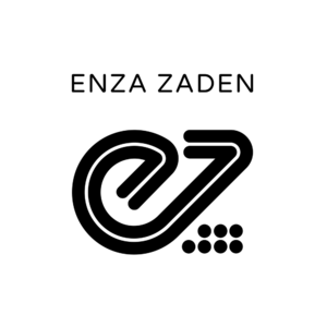 Organization 1